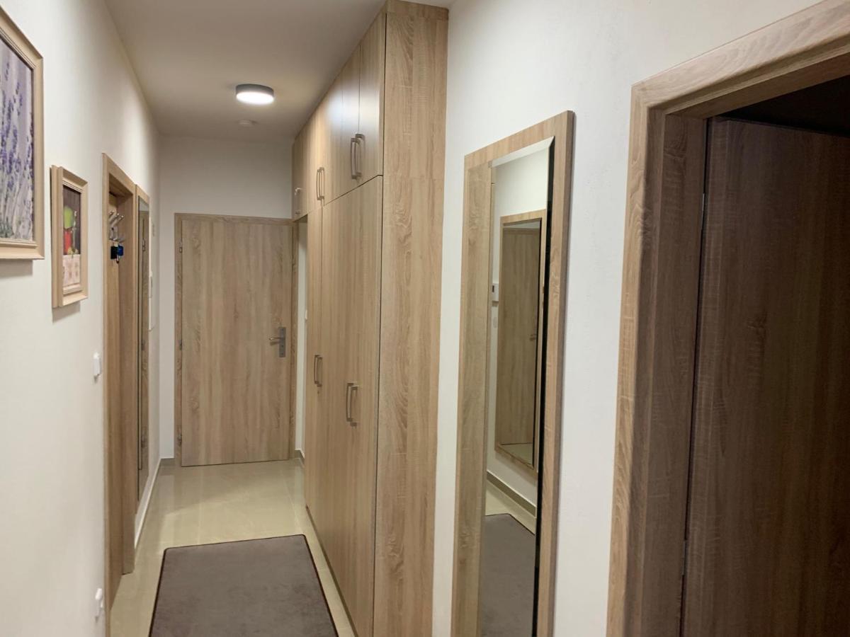 Apartment Rezidence - Javor & Wellness Železná Ruda Dış mekan fotoğraf